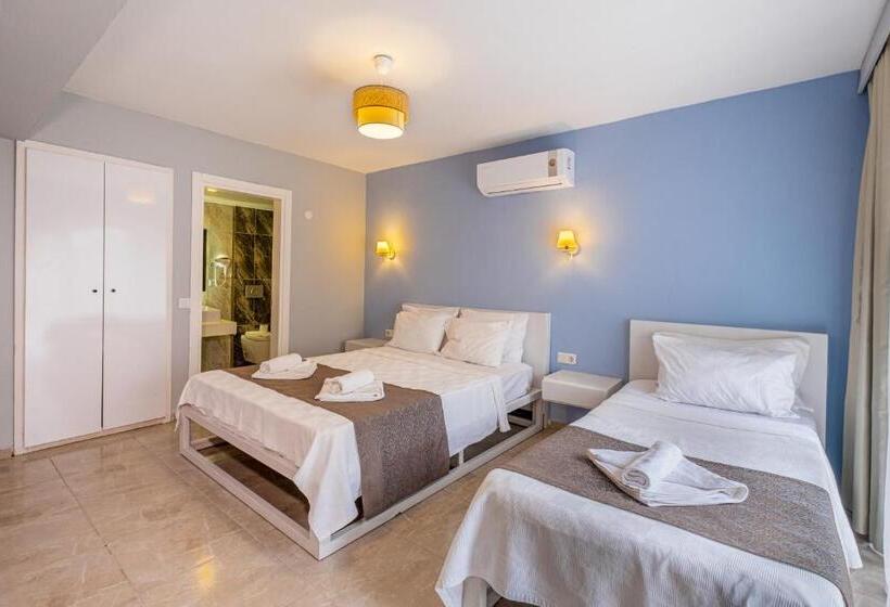Economy Triple Room, Himm