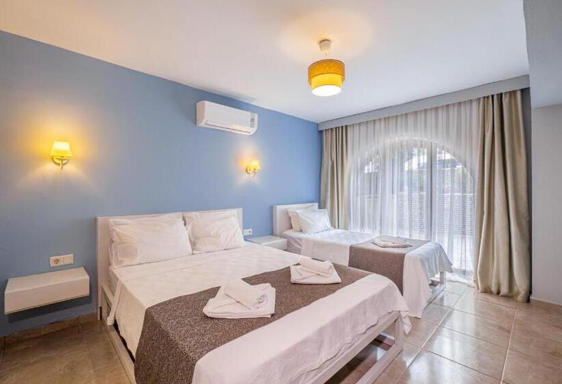 Economy Triple Room, Himm