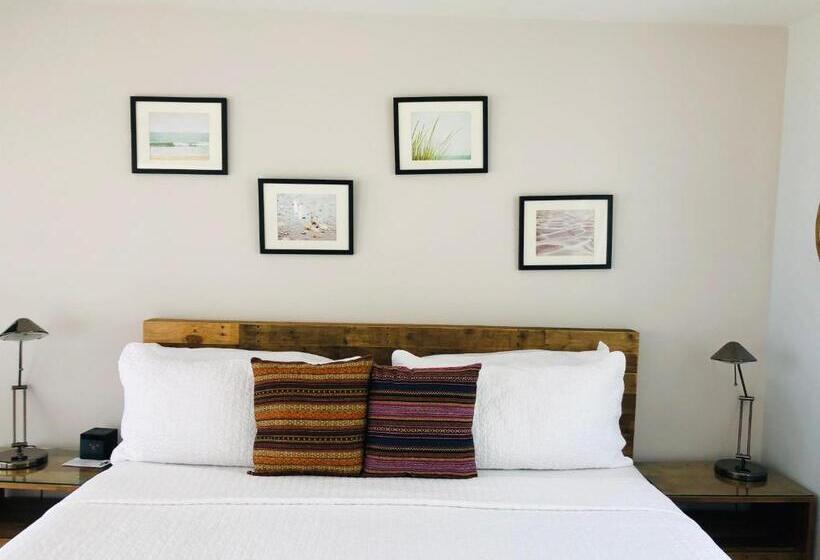 اتاق استاندارد با تخت بزرگ برای معلولان, Aqualina Inn Montauk