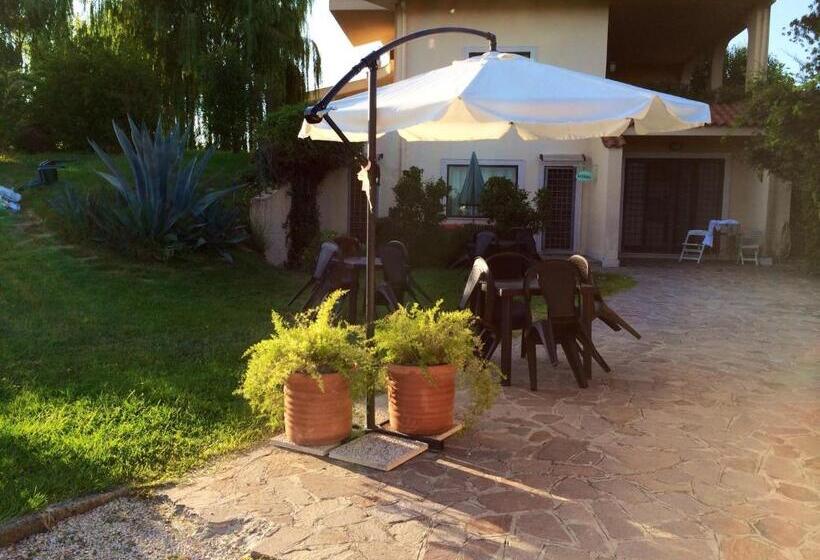 استودیوی استاندارد, B&b Millennium