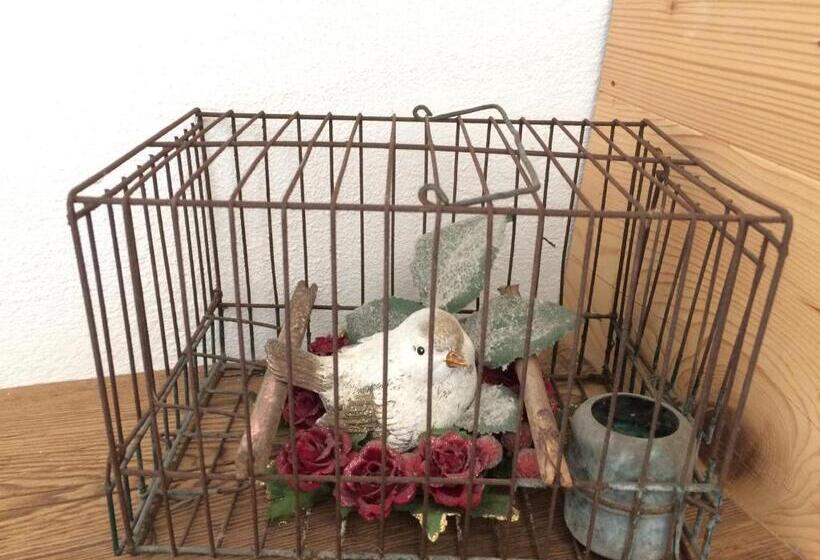 اتاق استاندارد, Fra Rose E Mughi