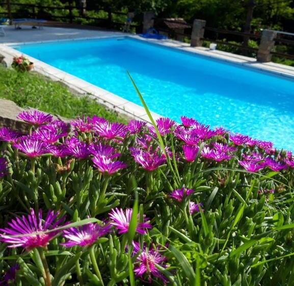 آپارتمان 1 خوابه همکف, La Lacia