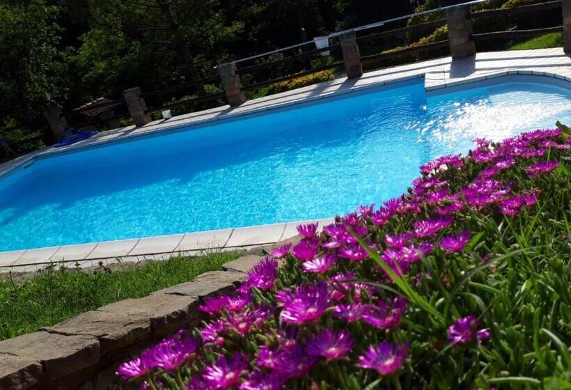 آپارتمان 1 خوابه همکف, La Lacia