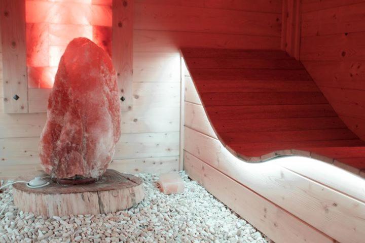 اتاق استاندارد با دسترسی به اسپا, Il Giardino Dei Flintstones B&b
