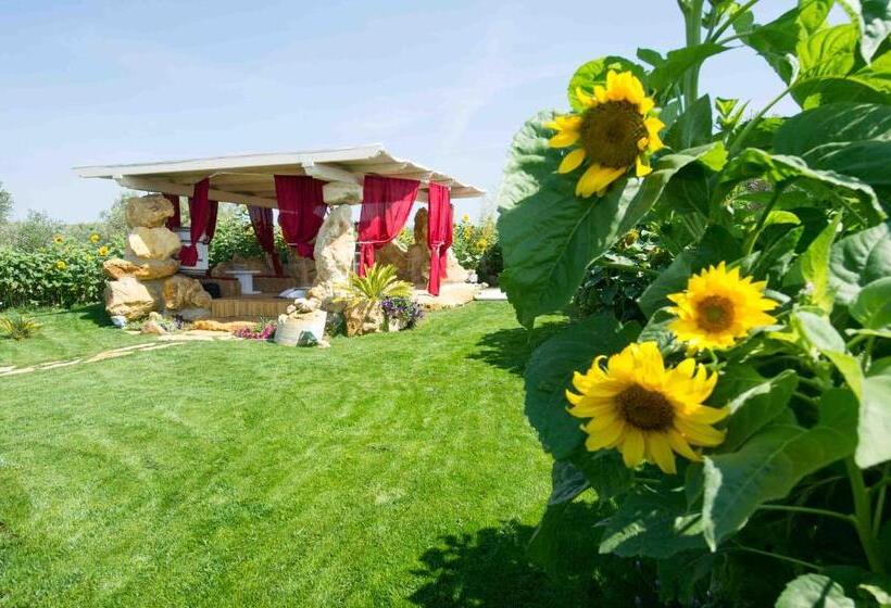 اتاق استاندارد با دسترسی به اسپا, Il Giardino Dei Flintstones B&b