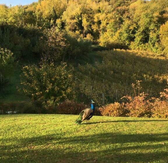 اتاق استاندارد, Agriturismo Lemire