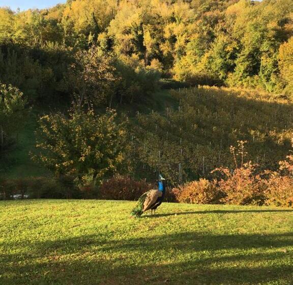 اتاق لوکس با بالکن, Agriturismo Lemire