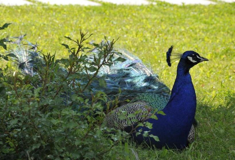 اتاق استاندارد با بالکن, Agriturismo Lemire