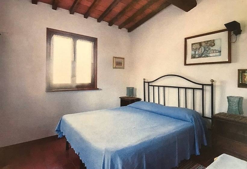 استودیوی استاندارد, Camere E Appartamenti Baldini Romanita