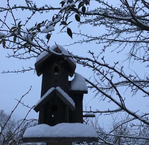 标准间, Haus Lasaun