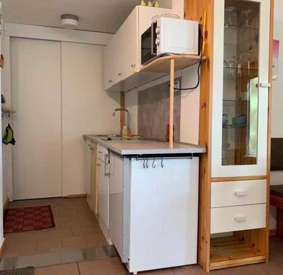 带1个卧室的公寓, Haus Lasaun