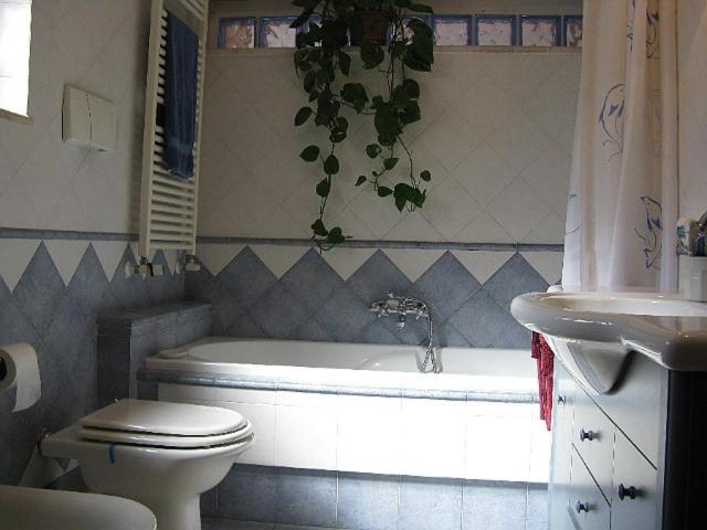 اتاق استاندارد, Mirto E Mare