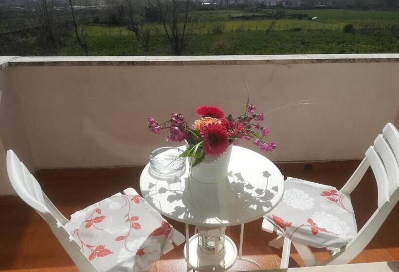 سوییت جونیور با چشم‌انداز دریا, B&b Il Giardino Di Villa Anna