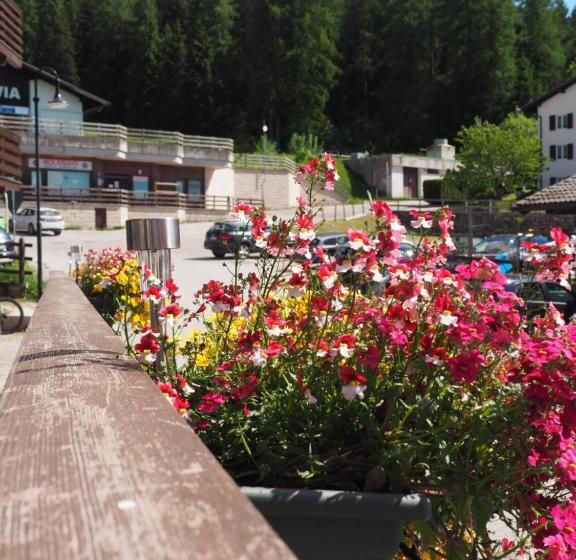 اتاق استاندارد, B&b Francolini