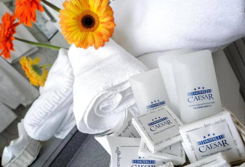 اتاق استاندارد چهار تخته, Caesar