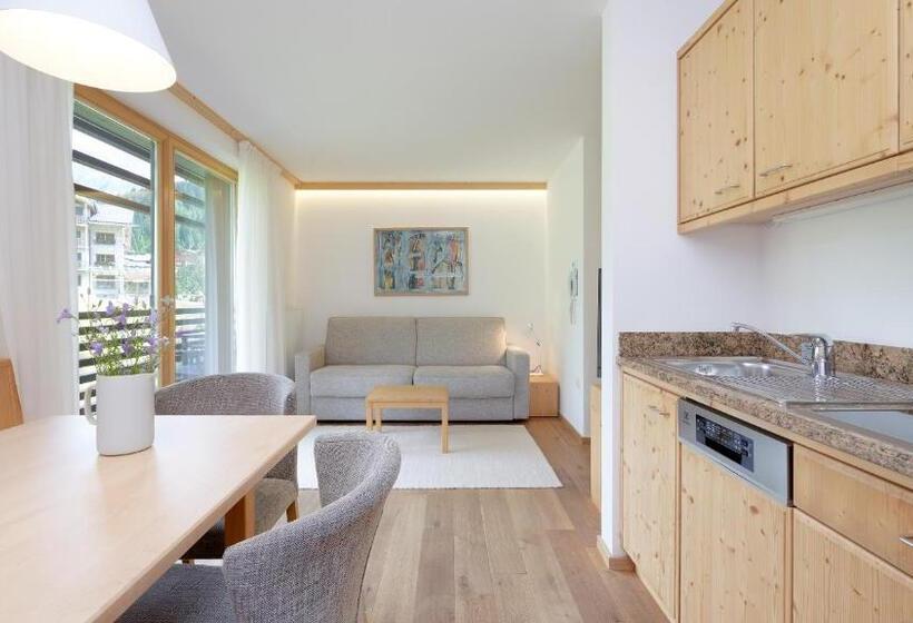 آپارتمان سوپریور 1 خوابه, Saleghes Dolomites Residence