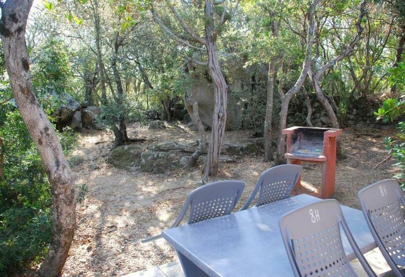 آپارتمان 1 خوابه, Residence Ribellinu