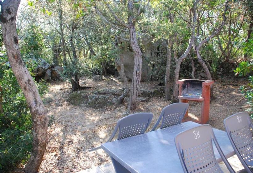 آپارتمان 2 خوابه, Residence Ribellinu