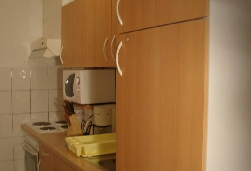 استودیو استاندارد با بالکن, Aparthotel Pecic