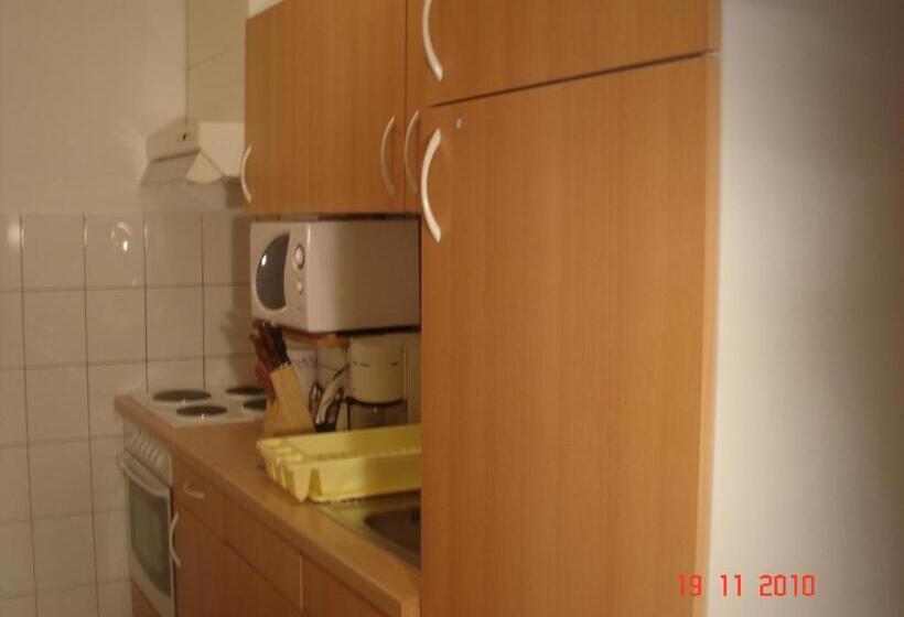 استودیو استاندارد با بالکن, Aparthotel Pecic