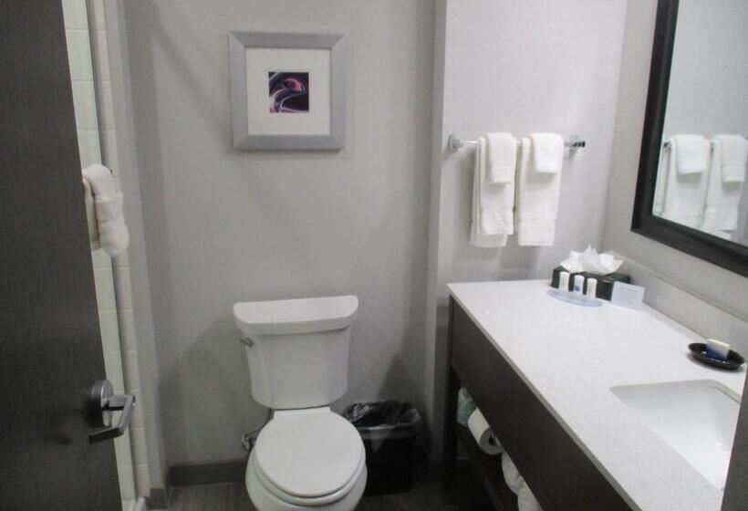 اتاق استاندارد, Best Western Plus Buda Austin Inn & Suites