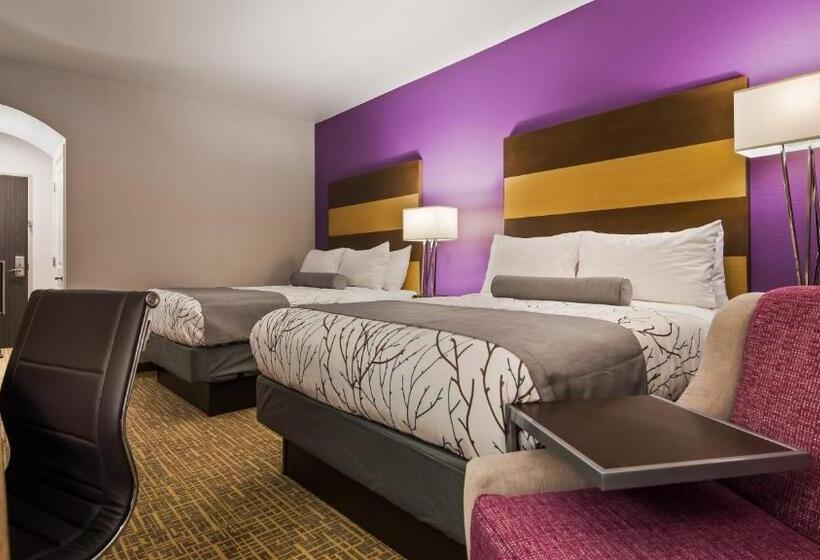 اتاق استاندارد, Best Western Plus Buda Austin Inn & Suites