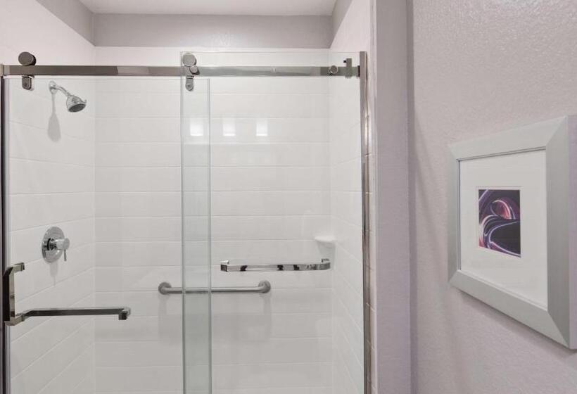 اتاق استاندارد, Best Western Plus Buda Austin Inn & Suites
