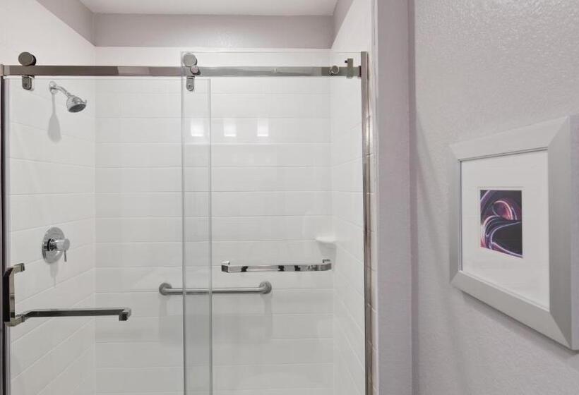 اتاق استاندارد با تخت بزرگ, Best Western Plus Buda Austin Inn & Suites