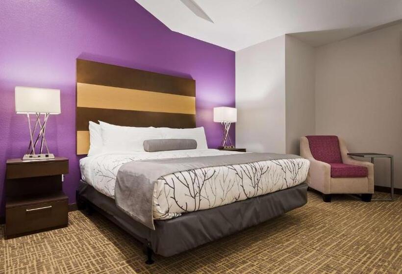 اتاق استاندارد با تخت بزرگ, Best Western Plus Buda Austin Inn & Suites