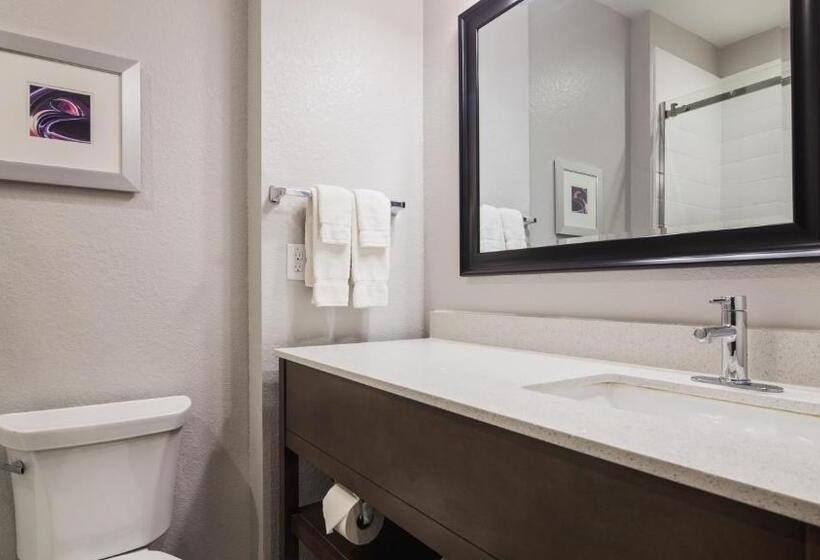 سوئیت با تخت بزرگ, Best Western Plus Buda Austin Inn & Suites