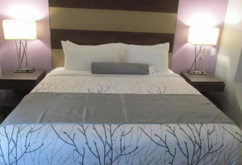 اتاق استاندارد با تخت بزرگ برای معلولان, Best Western Plus Buda Austin Inn & Suites