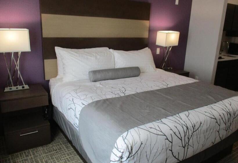 Standaardkamer met Kingsize Bed Aangepast voor Gehandicapten, Best Western Plus Buda Austin Inn & Suites