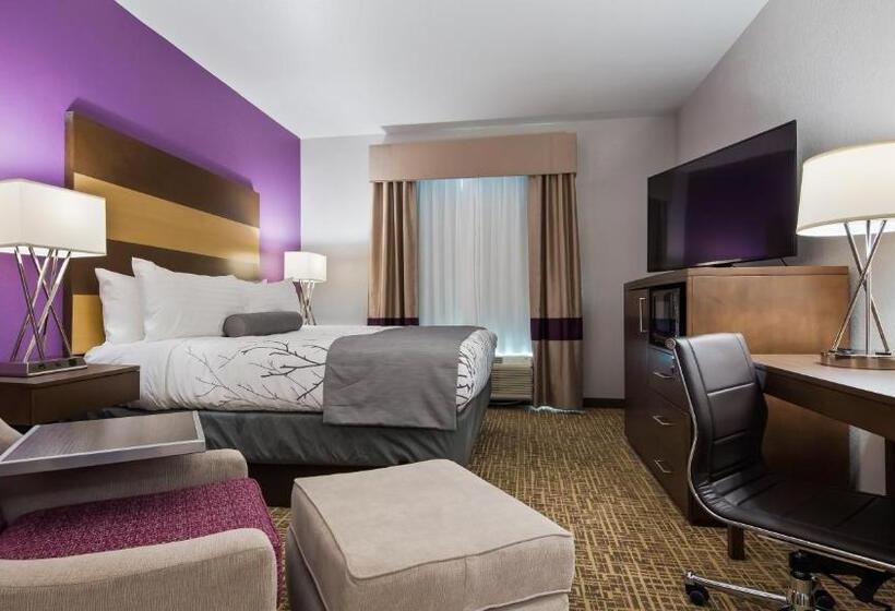 اتاق استاندارد با تخت بزرگ برای معلولان, Best Western Plus Buda Austin Inn & Suites