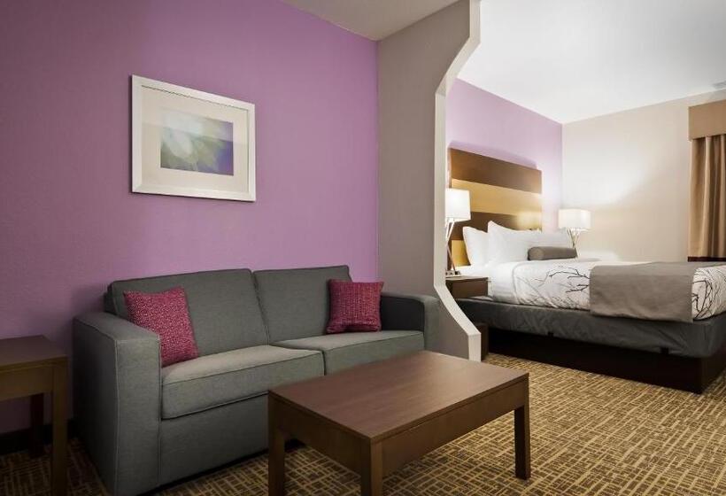 Suite Aangepast voor Gehandicapten, Best Western Plus Buda Austin Inn & Suites