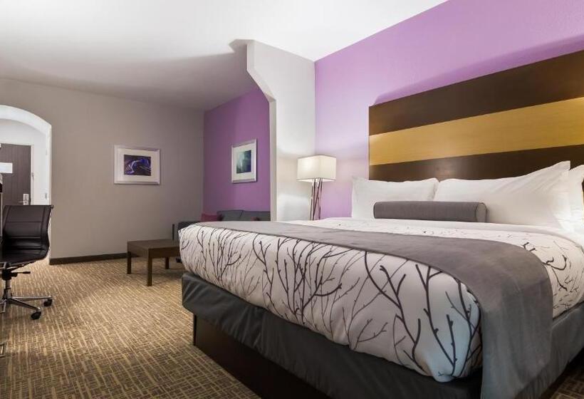 Suite Aangepast voor Gehandicapten, Best Western Plus Buda Austin Inn & Suites