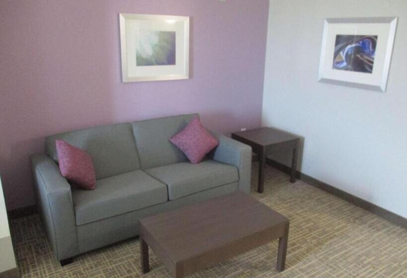 سوئیت برای معلولان, Best Western Plus Buda Austin Inn & Suites