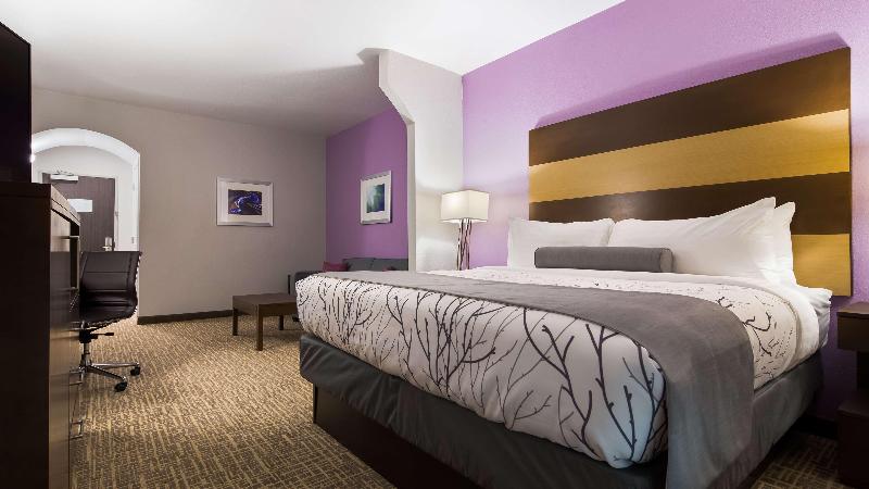 سوئیت با تخت بزرگ, Best Western Plus Buda Austin Inn & Suites
