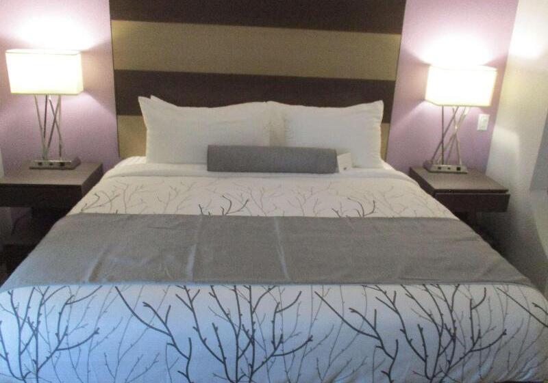 سوئیت با تخت بزرگ, Best Western Plus Buda Austin Inn & Suites