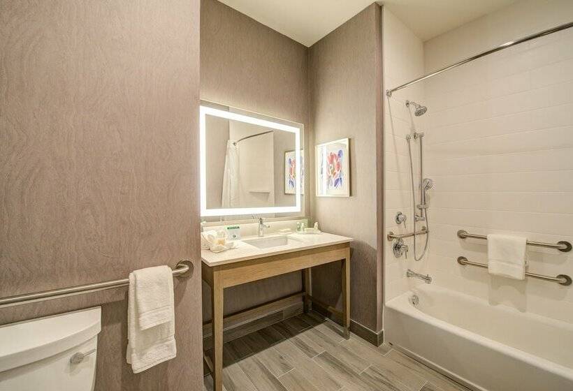سوییت, Holiday Inn Hotel & Suites   Houston West   Katy Mills, An Ihg