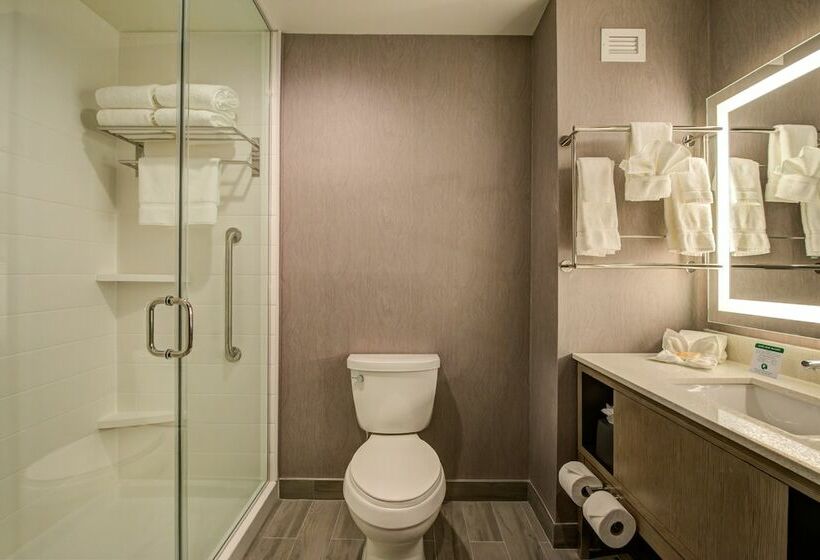 سوییت, Holiday Inn Hotel & Suites   Houston West   Katy Mills, An Ihg