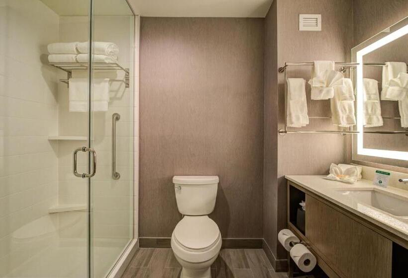 اتاق استاندارد با تخت بزرگ, Holiday Inn Hotel & Suites   Houston West   Katy Mills, An Ihg