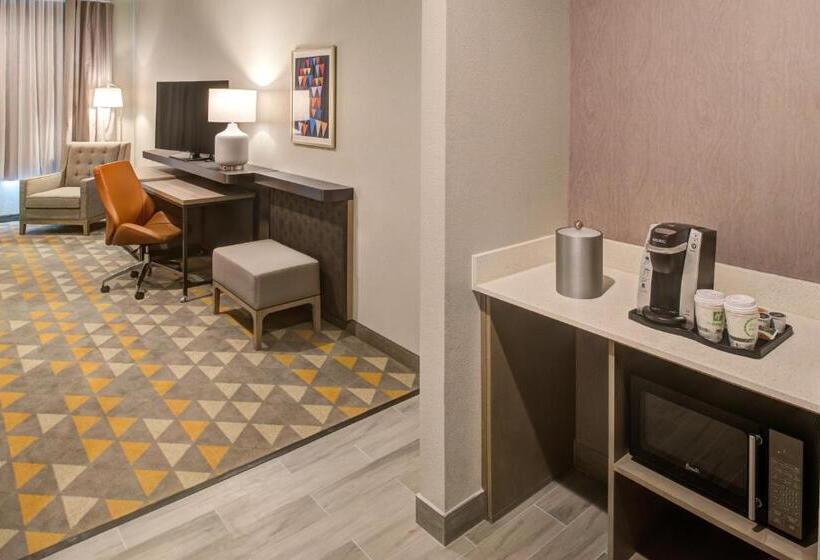 Habitación Estándar Cama King Adaptada para personas con movilidad reducida, Holiday Inn  & Suites Houston West  Katy Mills