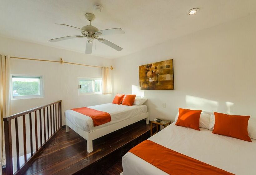 اتاق استاندارد با 2 تخت دوبل, Caracol Puerto Morelos