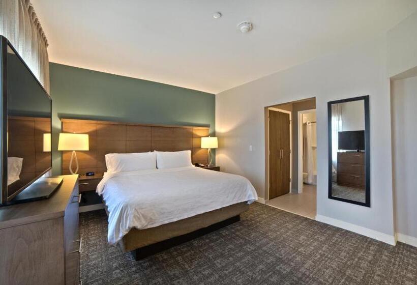 اتاق استاندارد, Staybridge Suites Houston   Humble Beltway 8 E, An Ihg