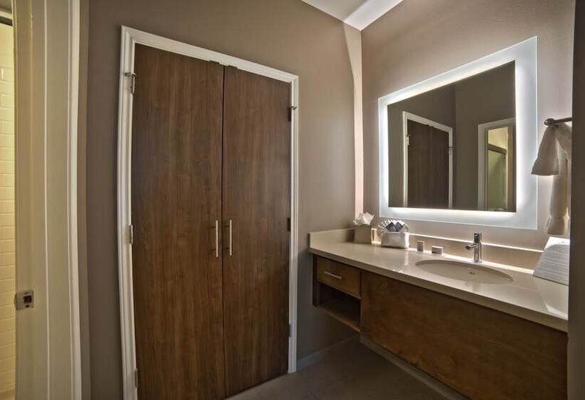 سوئیت 2 خوابه, Staybridge Suites Houston   Humble Beltway 8 E, An Ihg
