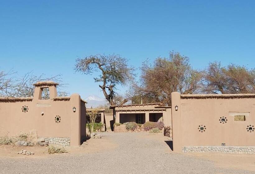خانه 2 خوابه, Hostal Y Cabañas Renta House San Pedro