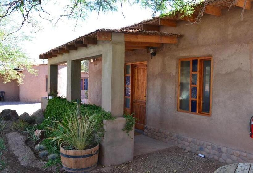 بانگلوی استاندارد, Hostal Y Cabañas Renta House San Pedro