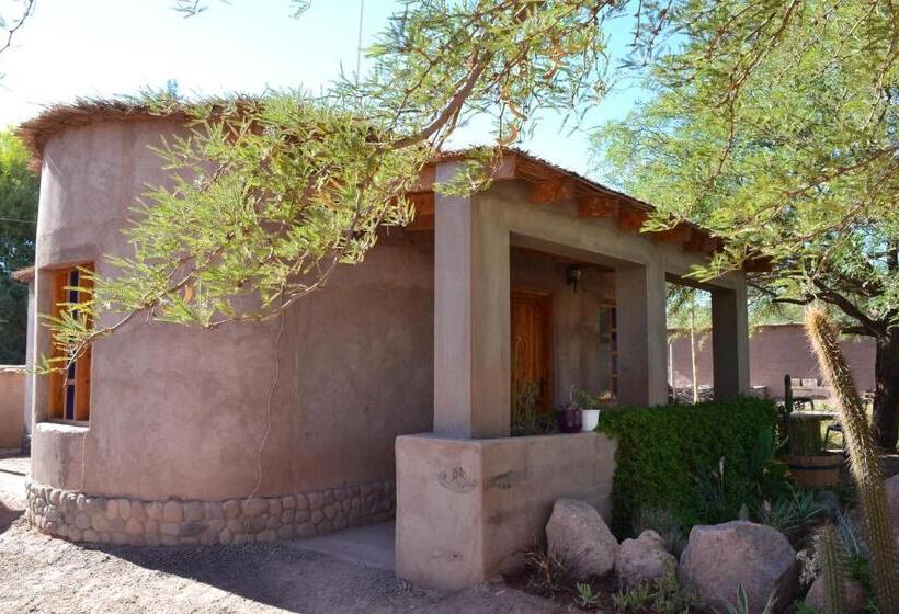 بانگلوی استاندارد, Hostal Y Cabañas Renta House San Pedro