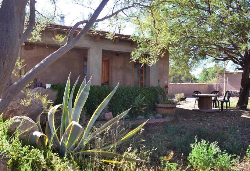 بانگلوی استاندارد, Hostal Y Cabañas Renta House San Pedro