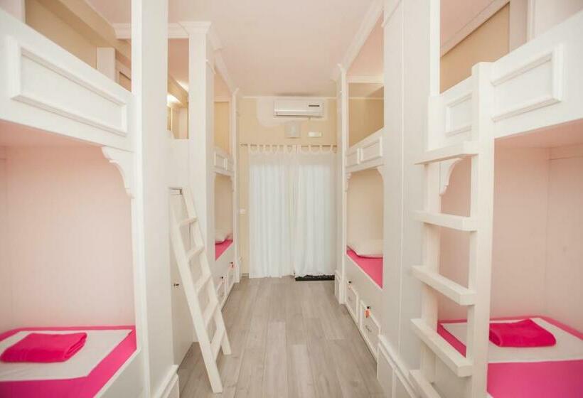 تختخواب در اتاق مشترک, Hostel Splendido